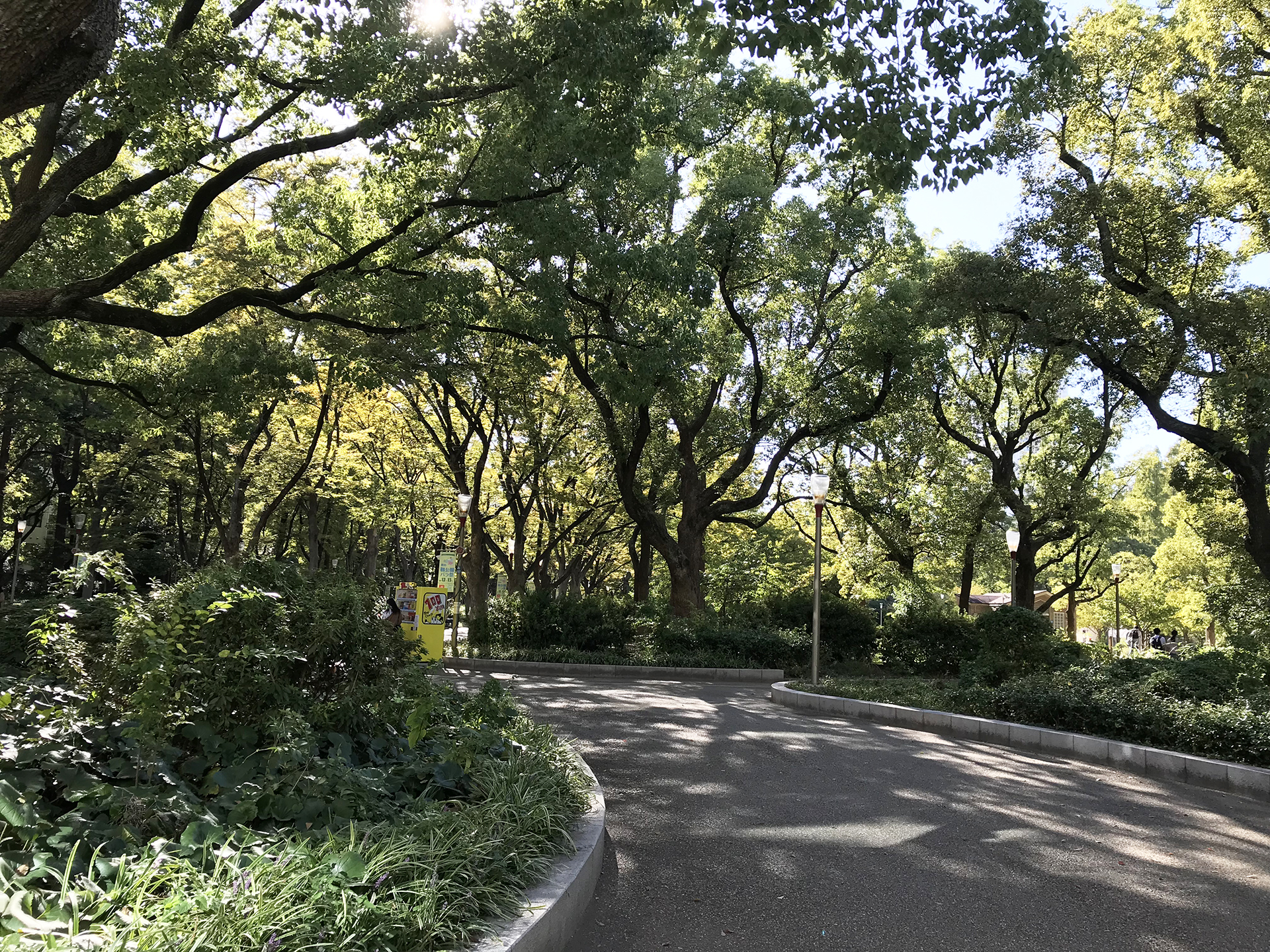 R&D GROUP ｜ 秋の靭公園