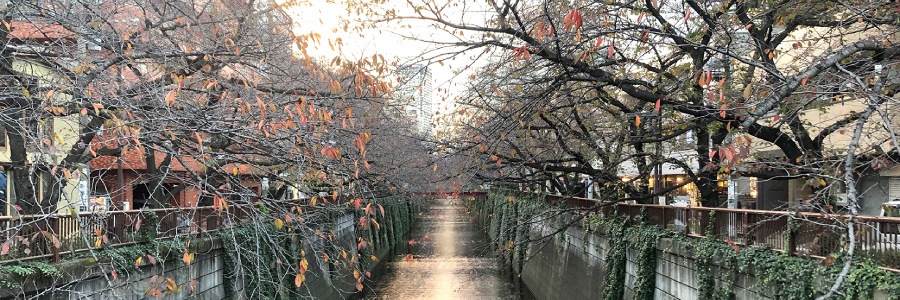 中目黒本屋探訪記