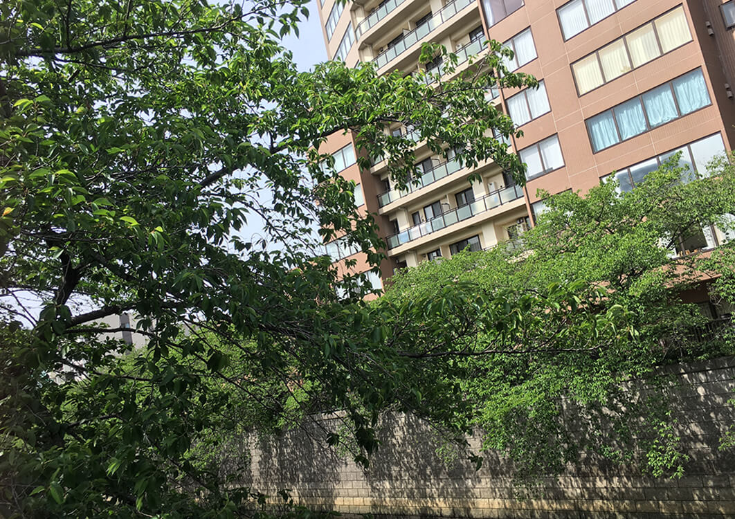 意外と楽しめている外出自粛期間