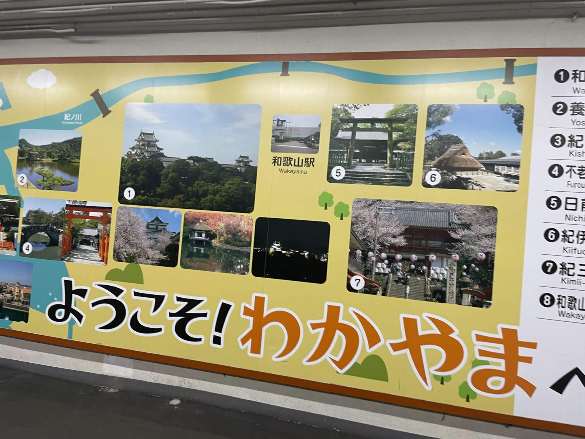 カツオ和歌山へ